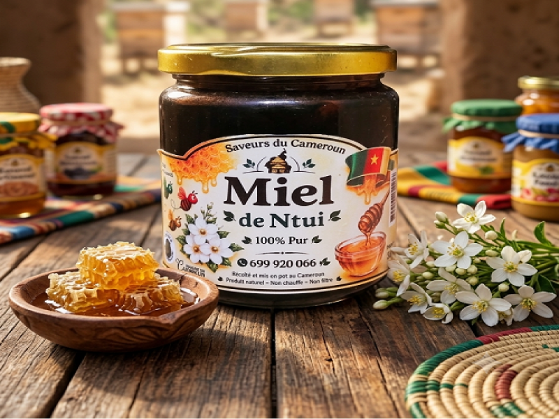 MIEL PUR DE NTUI 2 KG